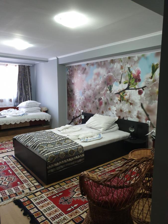 Vila Muntii Bucegi & Spa Μπραν Εξωτερικό φωτογραφία