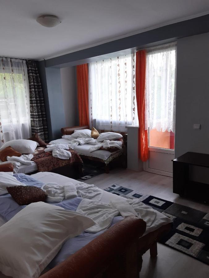 Vila Muntii Bucegi & Spa Μπραν Εξωτερικό φωτογραφία