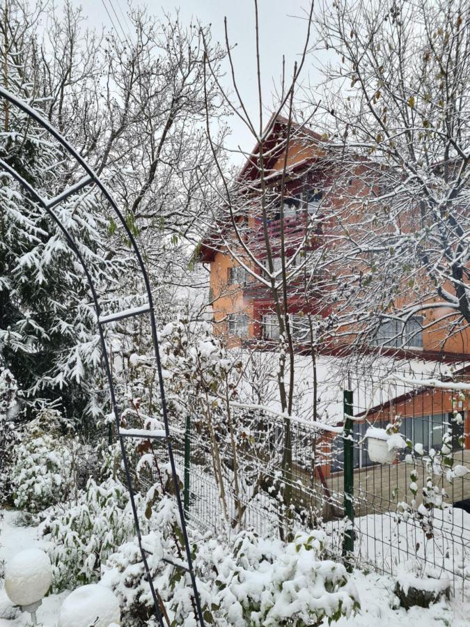 Vila Muntii Bucegi & Spa Μπραν Εξωτερικό φωτογραφία
