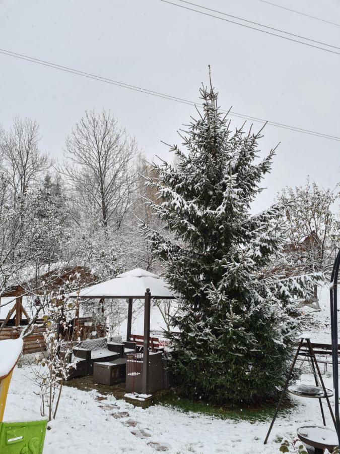 Vila Muntii Bucegi & Spa Μπραν Εξωτερικό φωτογραφία
