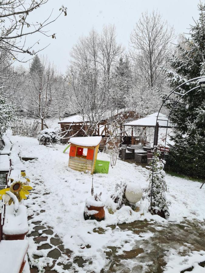 Vila Muntii Bucegi & Spa Μπραν Εξωτερικό φωτογραφία