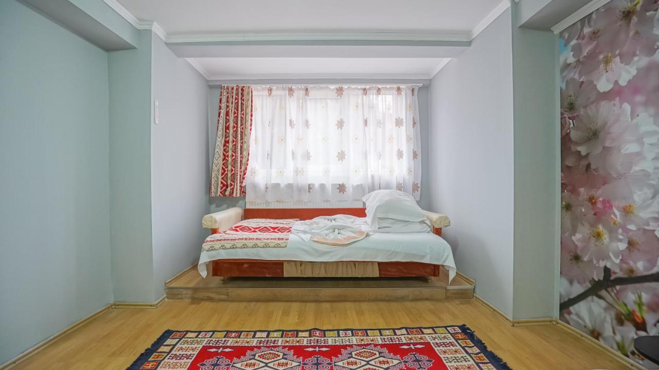 Vila Muntii Bucegi & Spa Μπραν Εξωτερικό φωτογραφία