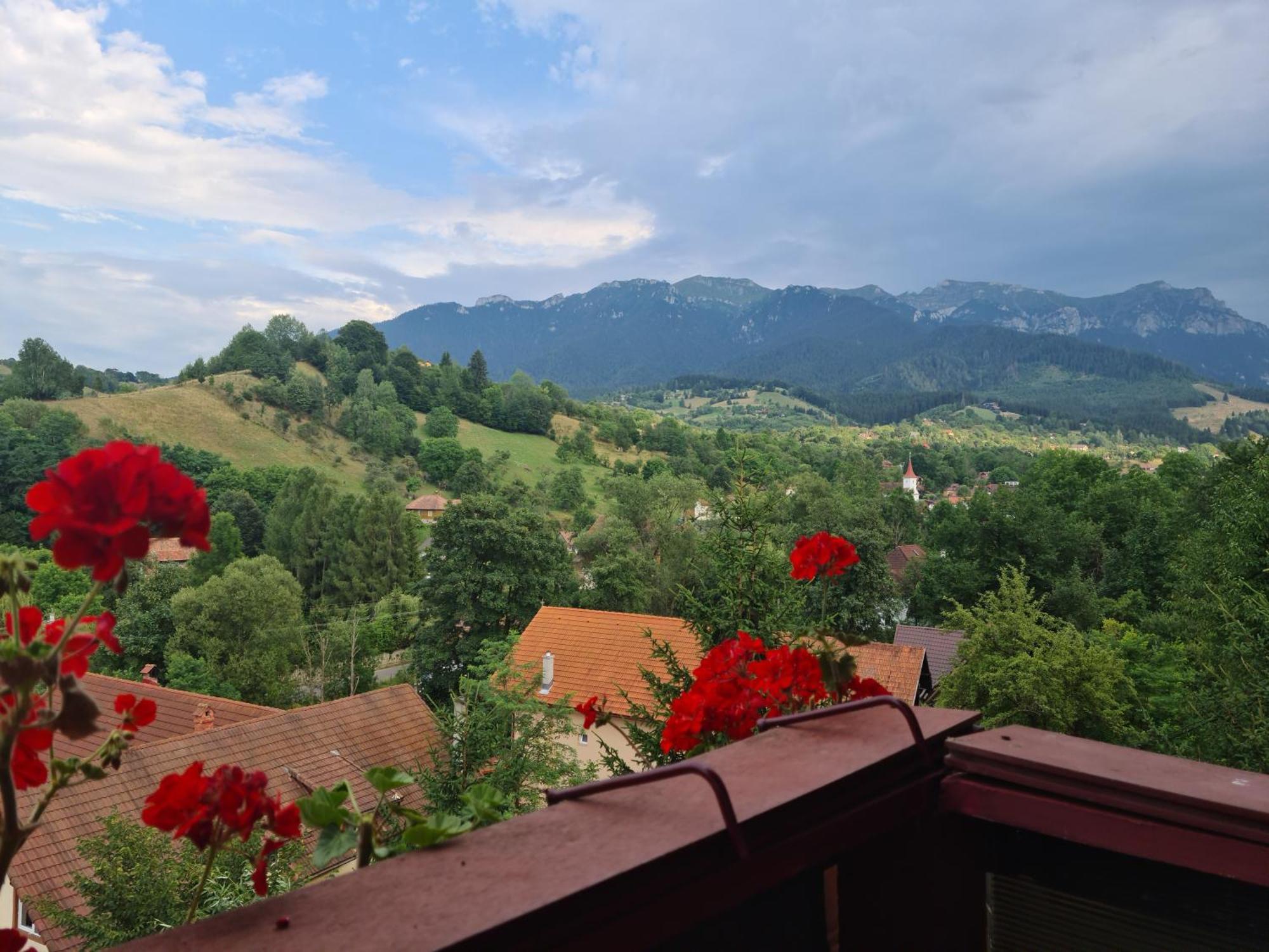 Vila Muntii Bucegi & Spa Μπραν Εξωτερικό φωτογραφία