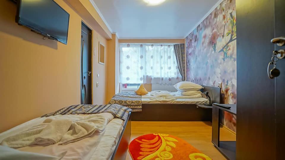 Vila Muntii Bucegi & Spa Μπραν Εξωτερικό φωτογραφία