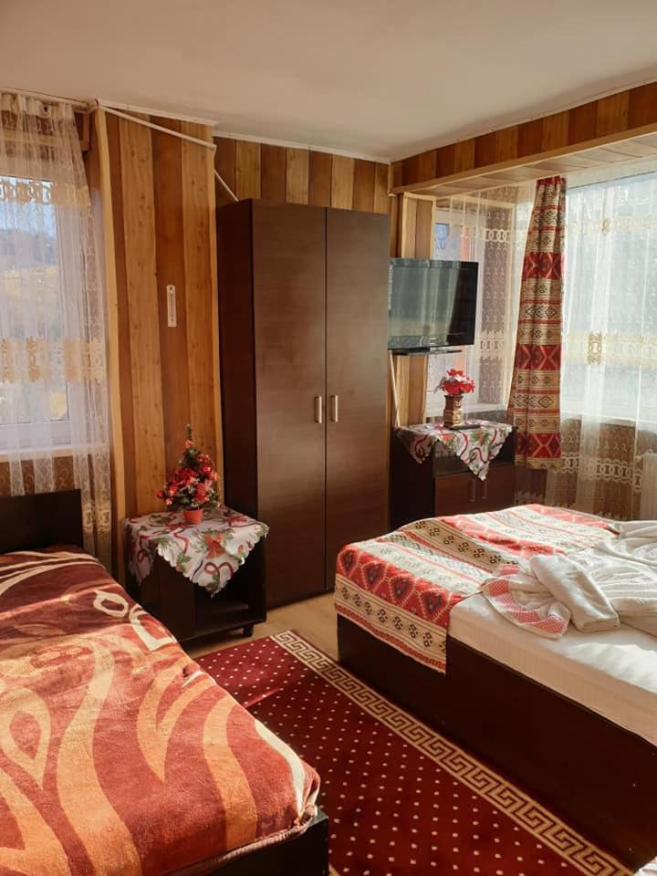 Vila Muntii Bucegi & Spa Μπραν Εξωτερικό φωτογραφία