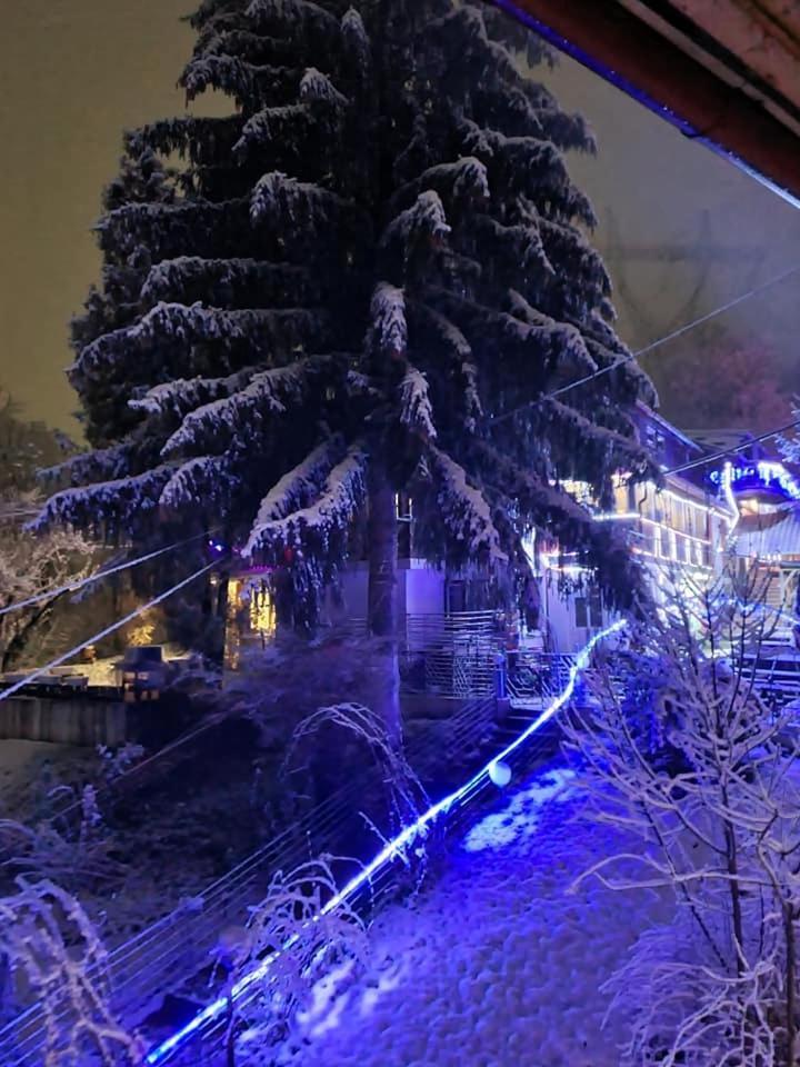Vila Muntii Bucegi & Spa Μπραν Εξωτερικό φωτογραφία