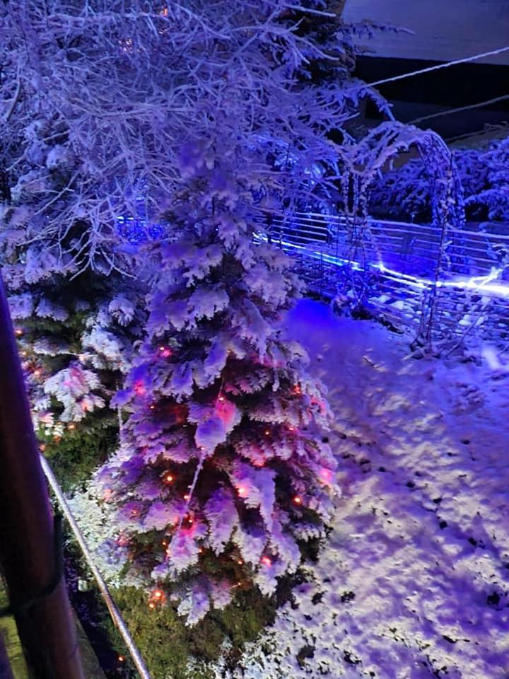 Vila Muntii Bucegi & Spa Μπραν Εξωτερικό φωτογραφία